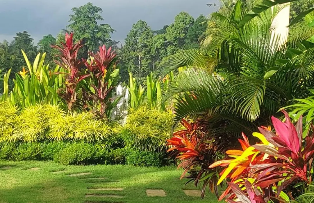 Taman Eden Cottage-1